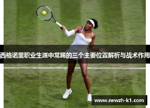 西格诺里职业生涯中常踢的三个主要位置解析与战术作用