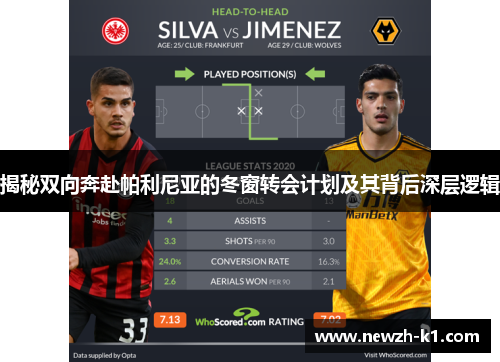 揭秘双向奔赴帕利尼亚的冬窗转会计划及其背后深层逻辑