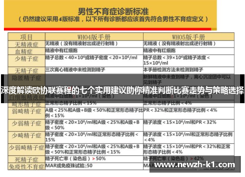 深度解读欧协联赛程的七个实用建议助你精准判断比赛走势与策略选择